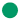 Green Circle Runs